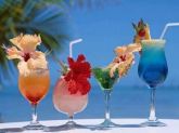 204 RECEITAS DE BEBIDAS