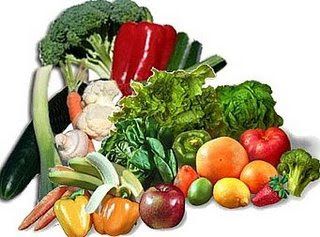 ERVAS HORTALIÇAS E FRUTAS
